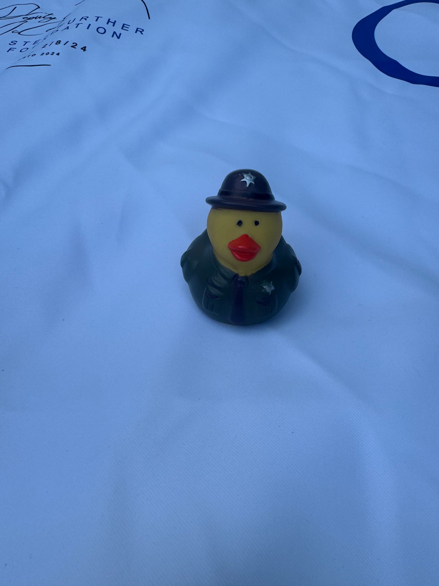 Police Ducks