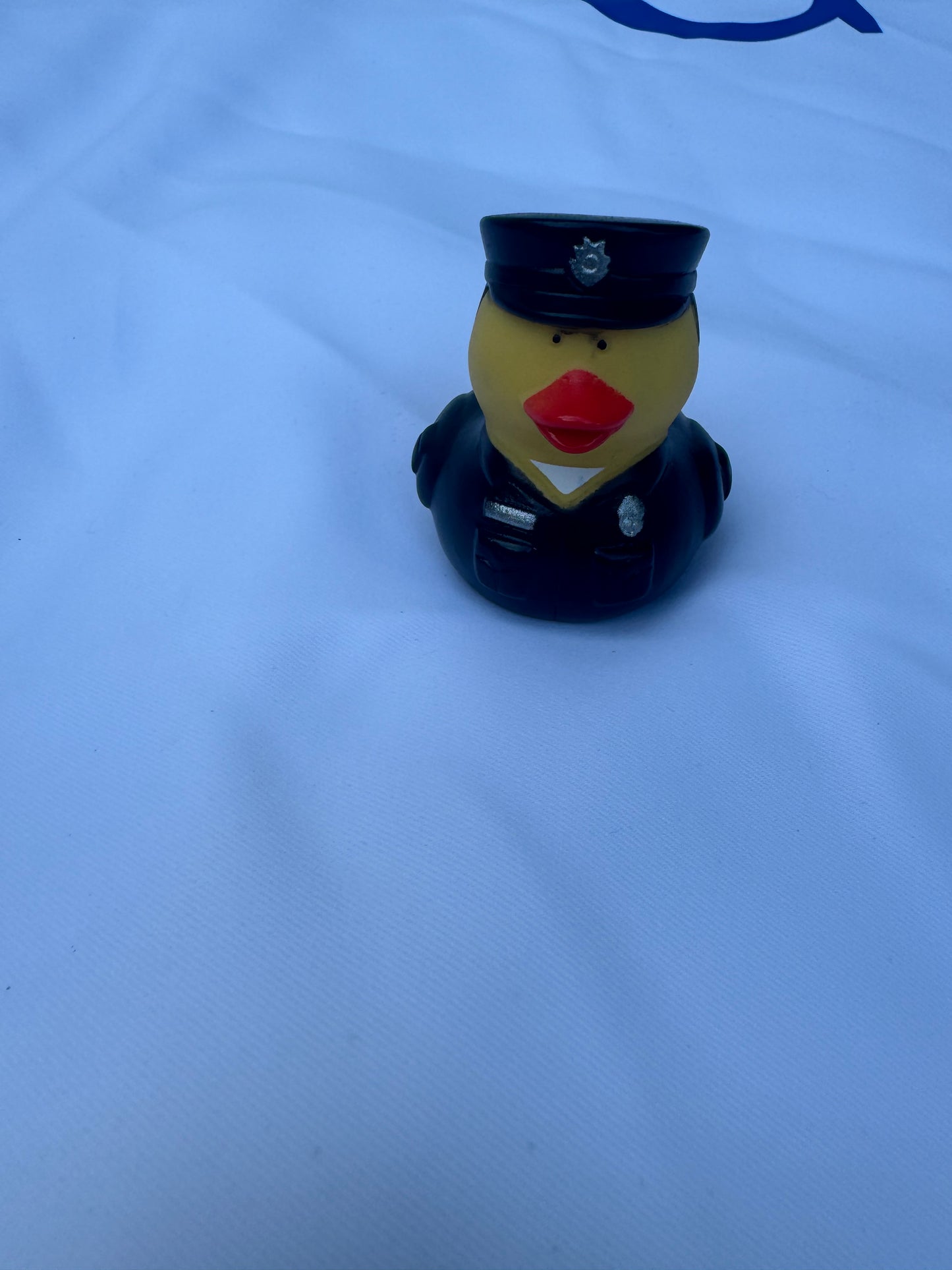 Police Ducks